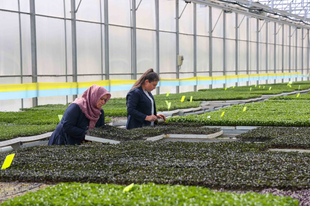Konya’nın fidesini Meram yetiştiriyor! Satışlar başladı 6